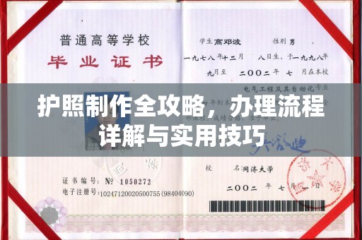 宜阳护照制作全攻略，办理流程详解与实用技巧